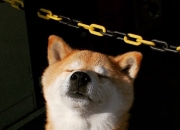 英雄联盟总决赛直播-相隔二十年的两次逆转，定义了NBA最硬核的夺冠真理