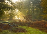 LOL决赛-欧冠决赛夜，那个只在硬仗拔剑的沉默刺客