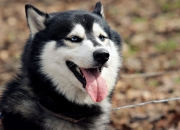 英雄联盟总决赛赛程-巴斯托尼以巴萨之名，上演比利亚雷亚尔防线爆破记