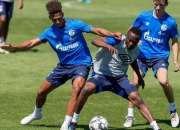 LOL赛事-关于沙尔克球队战胜疲惫对手，取得胜利的信息