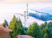 英雄联盟总决赛时间-雷霆劈开奇才魔法，布克终章写就关键判词