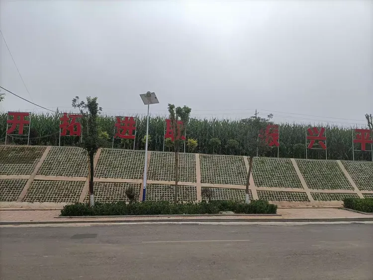 法兰克福险胜，新帅擘画未来蓝图的简单介绍