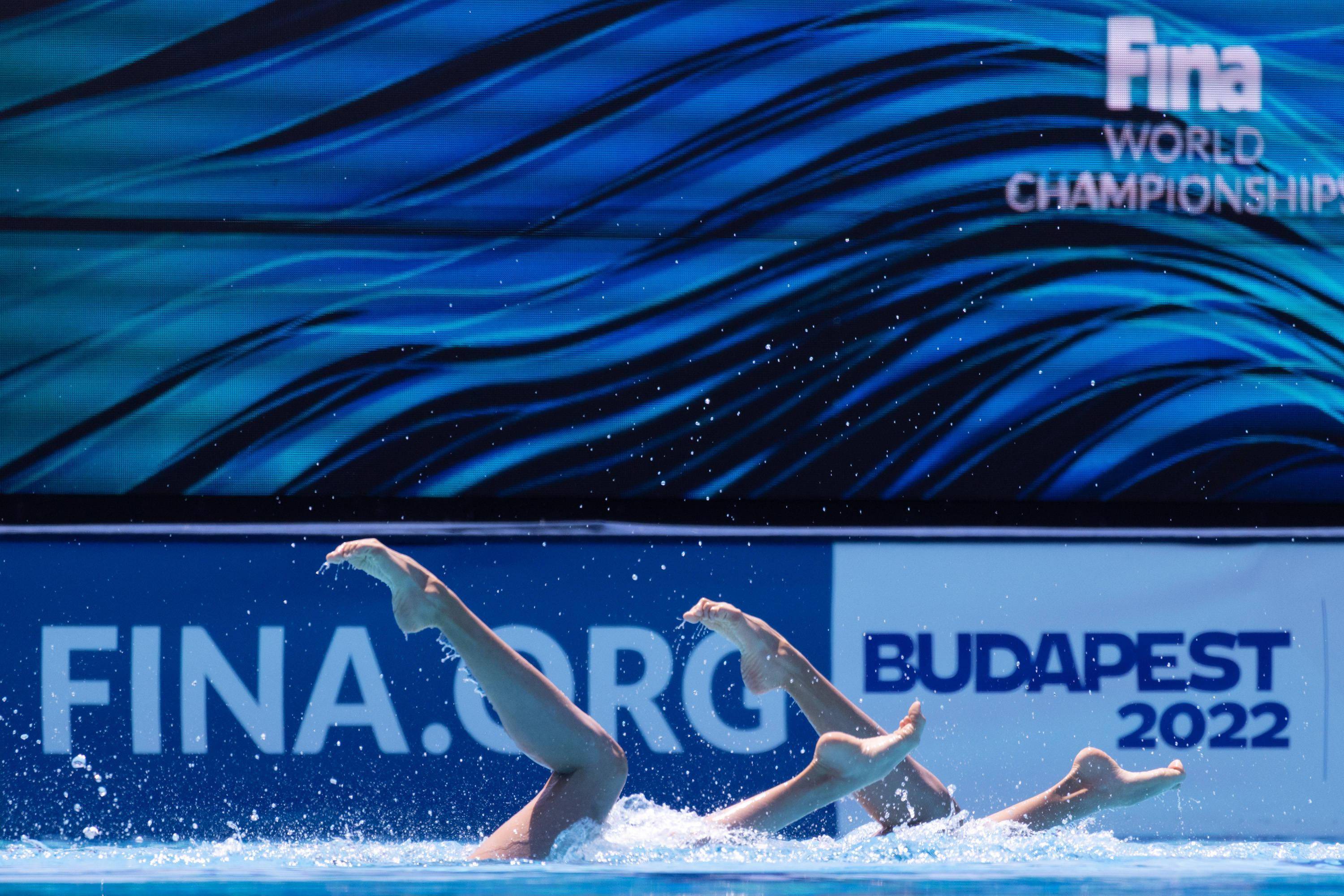 关于游泳决赛震撼开打，巅峰对决引爆全场的信息