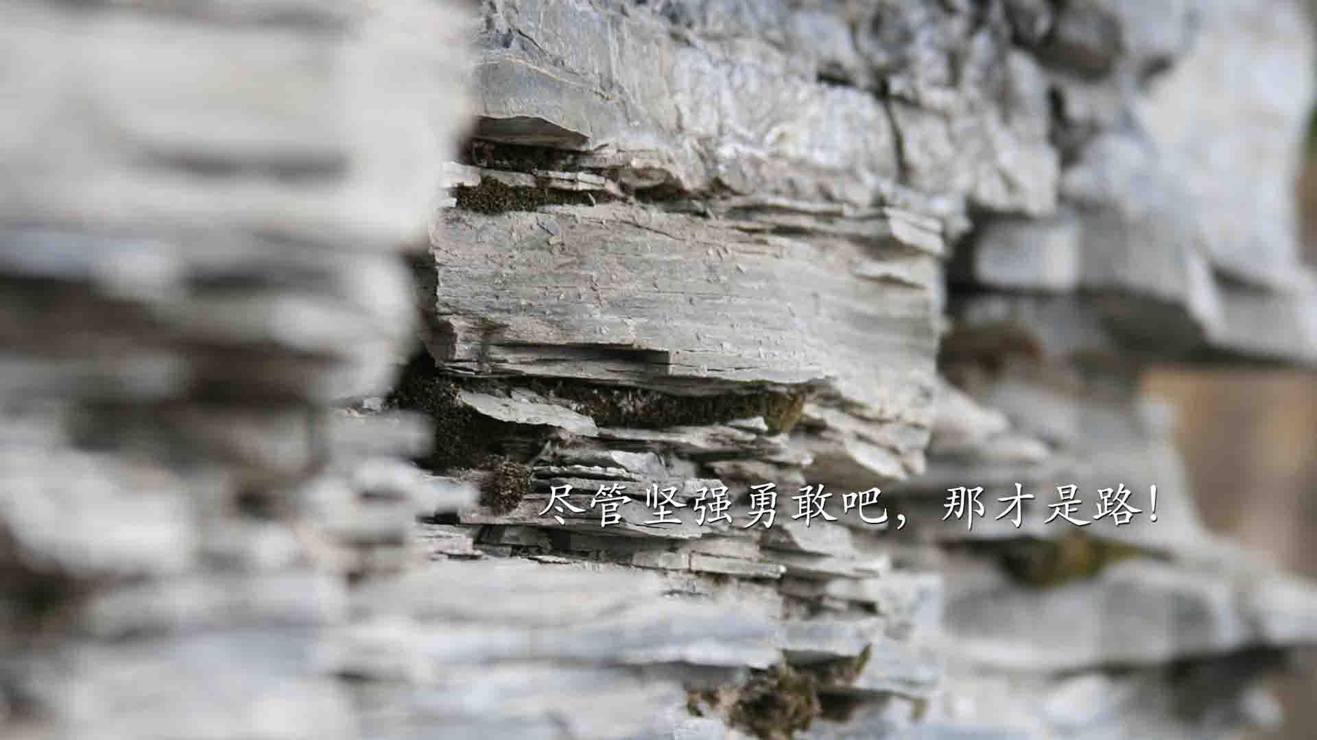 欧冠焦点战,AC米兰的塔可战术如何用龙舌兰的烈度,在仙人掌丛中碾碎墨西哥铁壁