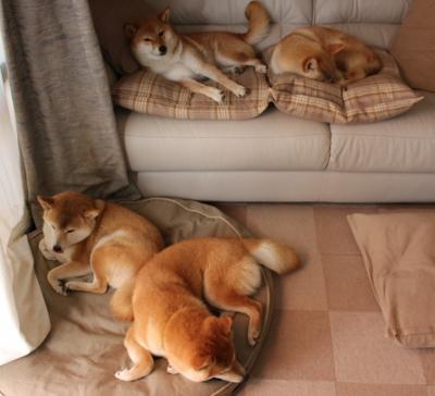 终场哨前的救世主,罗德里戈致命一击,助三狮军团撕裂乌拉圭铁壁