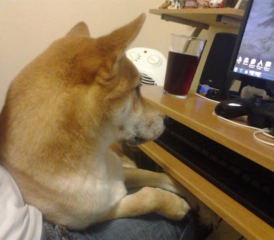 绿茵魔法师，欧冠巅峰夜与开拓者的启示