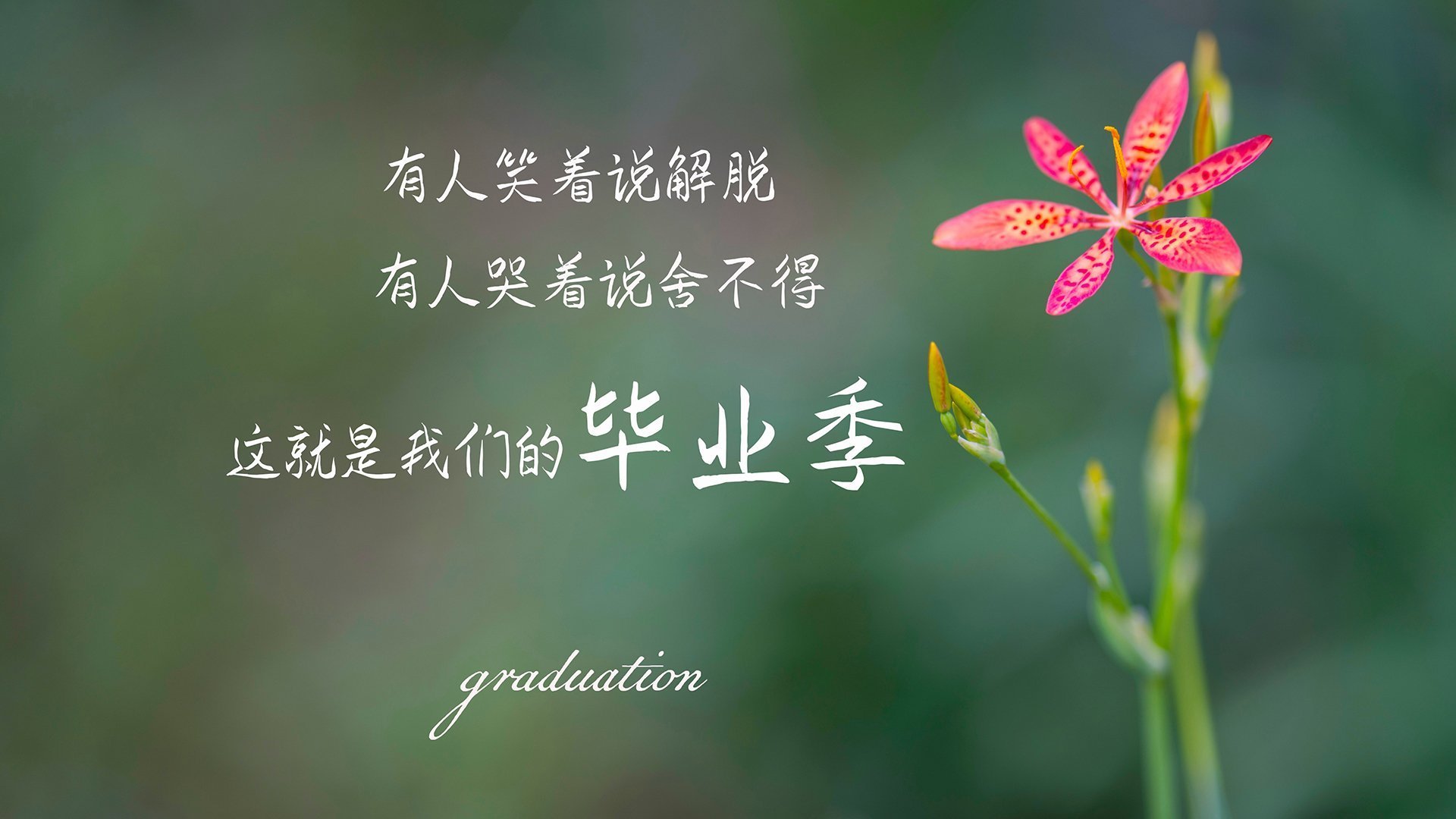 蒂亚戈进攻端如入无人之境，那不勒斯客场3-0完胜芬兰赫尔辛基