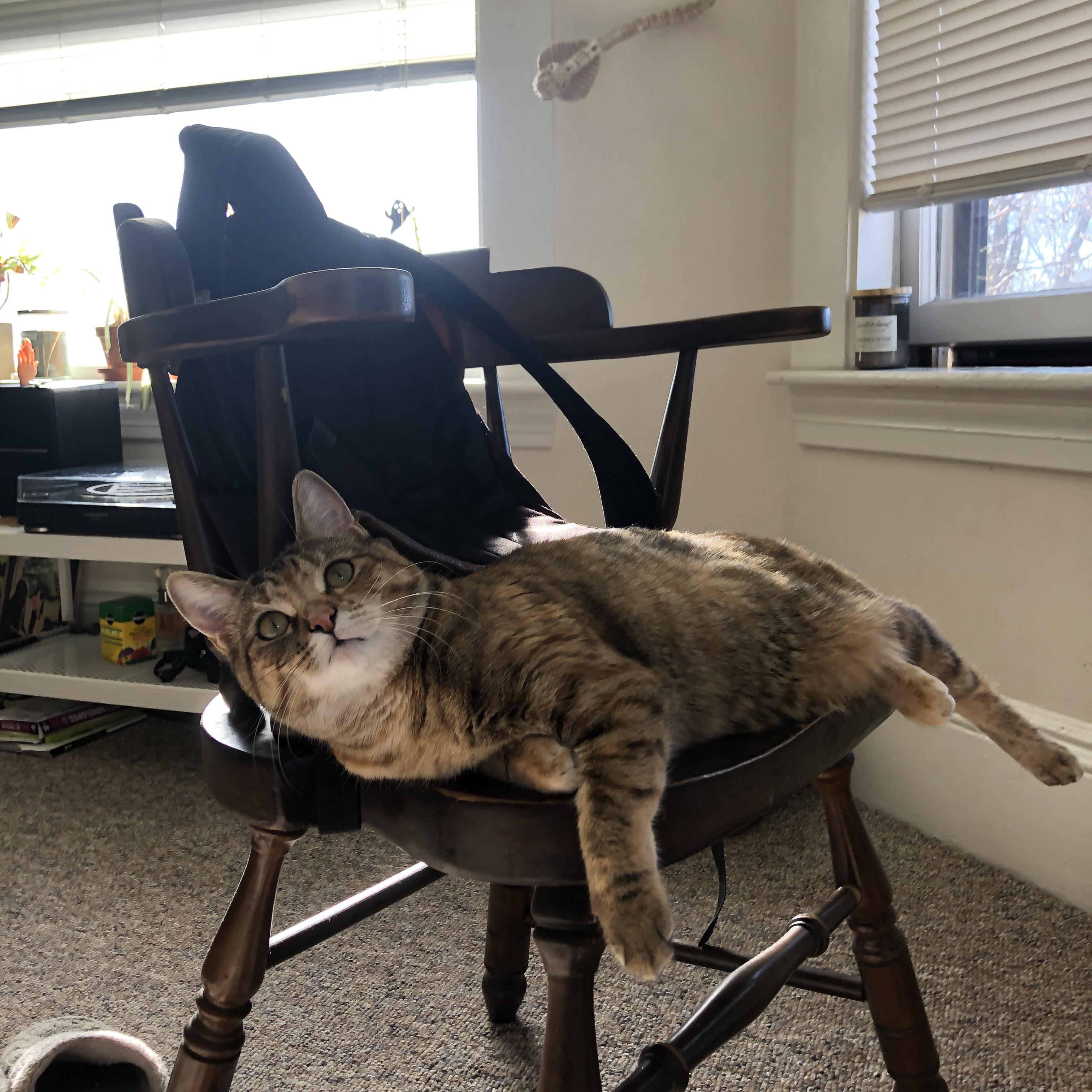 世界杯之夜，萨内用两个进球将悬念彻底杀死