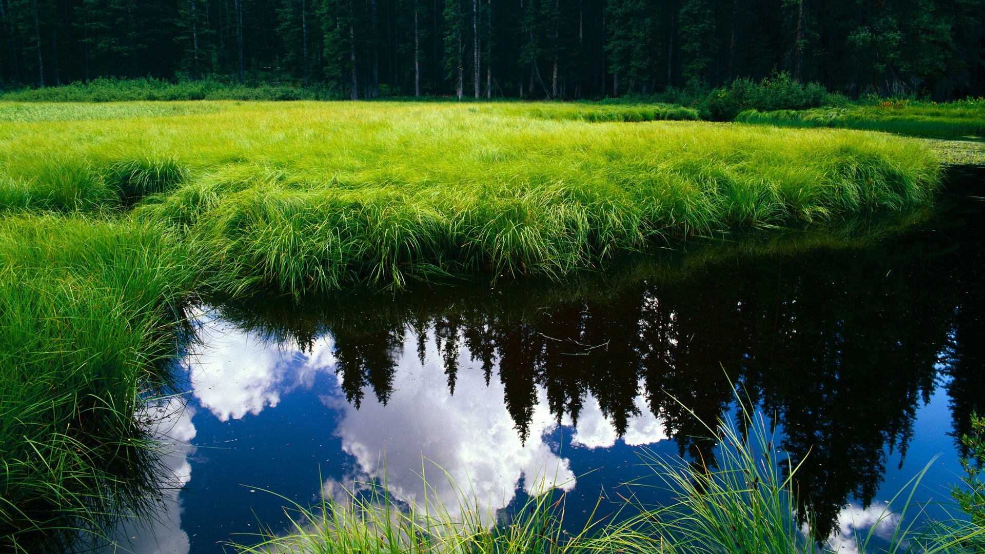 当非洲雄狮遭遇红黑利刃，克瓦拉茨赫利亚一役封神的破晓之战